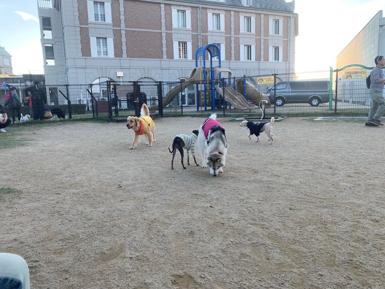 11 15ほんわかテレビでも放送されていた 犬連れでも楽しい 道の駅 神戸フルーツフラワーパーク大沢 宝塚暮らしをもっと楽しもう 情報誌comipa