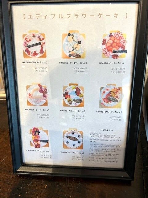 hanami4