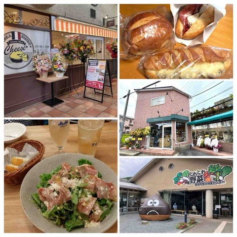 【宝塚コミパ通信】2025年ブログ人気記事ランキング [下半期編]