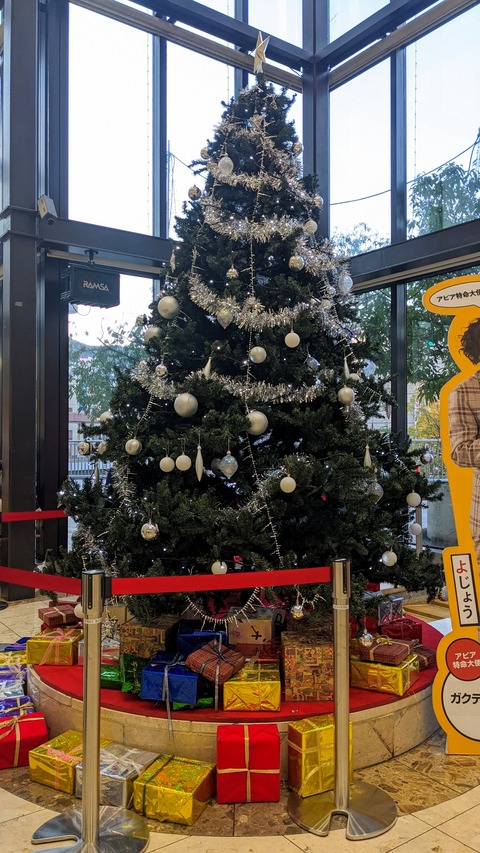 PXL_20221114_072332238