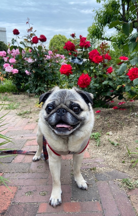 E273358E-3F2A-4C85-9C1F-99A0107019E1