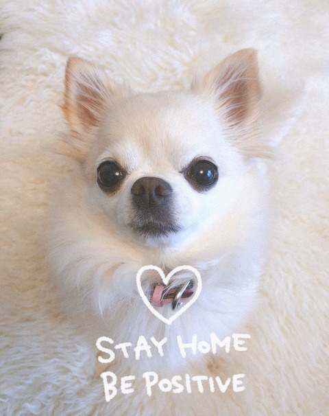 416B8EEB-AD13-44D7-BB17-0CC98072EC87