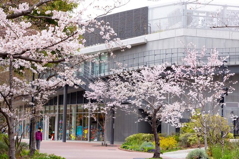 文化芸術センター