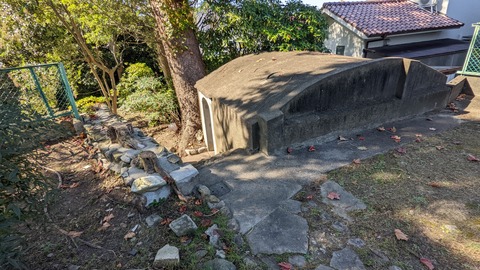 PXL_20221107_024446834