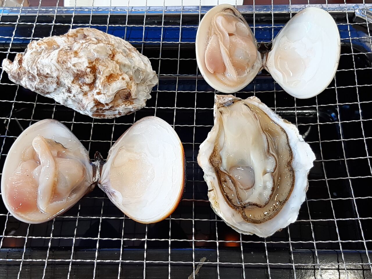 New Open 活貝センター逆瀬川漁港 鮮度抜群な活貝をイートインバーベキューで食べてきました 宝塚暮らしをもっと楽しもう 情報誌comipa New Open 活貝センター逆瀬川漁港 鮮度抜群な活貝をイートインバーベキューで食べてきました 宝塚暮らしをもっと楽しもう 情報誌comipa