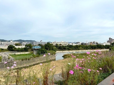 hokuse9
