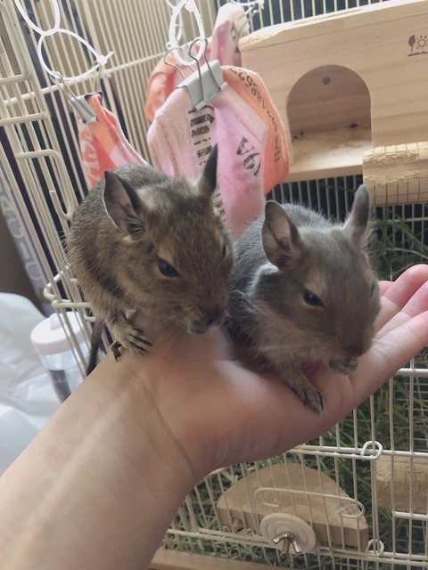 F2CD6374-6C49-4DA0-B9B4-44031D0F88DE