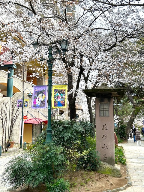sakura1
