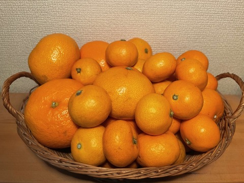●IMG_6463