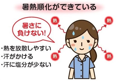 暑熱順化できている