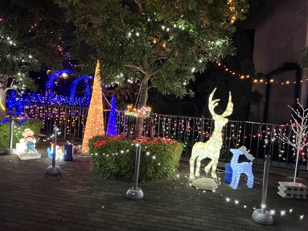 Xmas】メリークリスマス！ 各スポットのクリスマスツリー