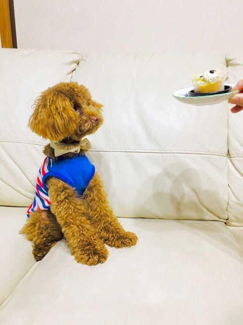 04F96F00-671C-40F9-9C5D-59BC51ABCFA7