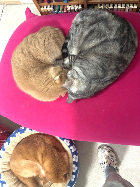 maru3