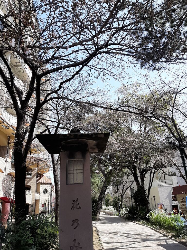 3月19日 花のみち 宝塚大劇場前 お散歩してきました 桜はこんな感じでした 宝塚暮らしをもっと楽しもう 情報誌comipa 3月19日 花のみち 宝塚大劇場前 お散歩してきました 桜はこんな感じでした 宝塚暮らしをもっと楽しもう 情報誌comipa