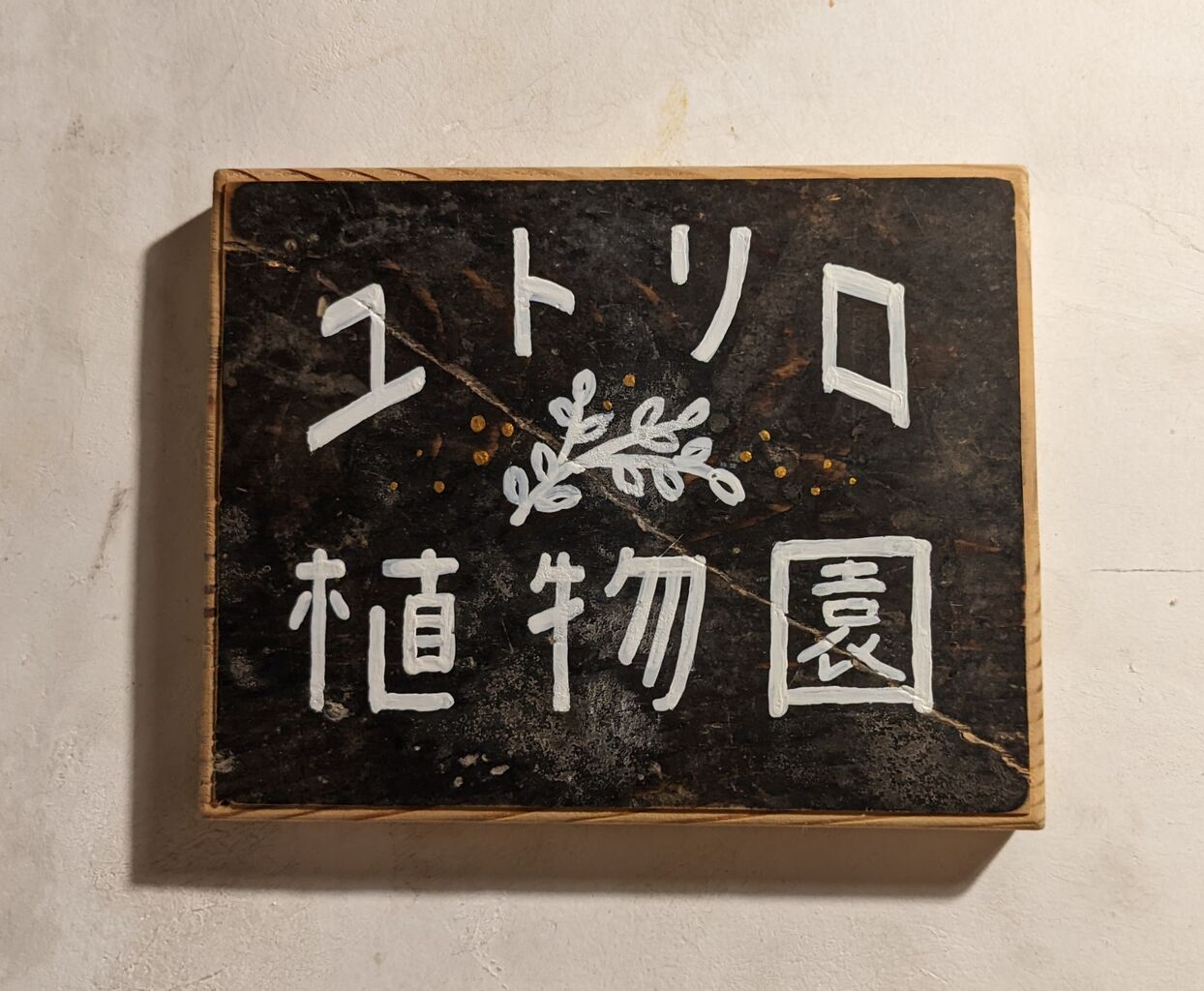 New Open お部屋に癒しの植物を 清荒神 ユトリロ植物園 でお気に入りを見つけよう 宝塚コミパ通信