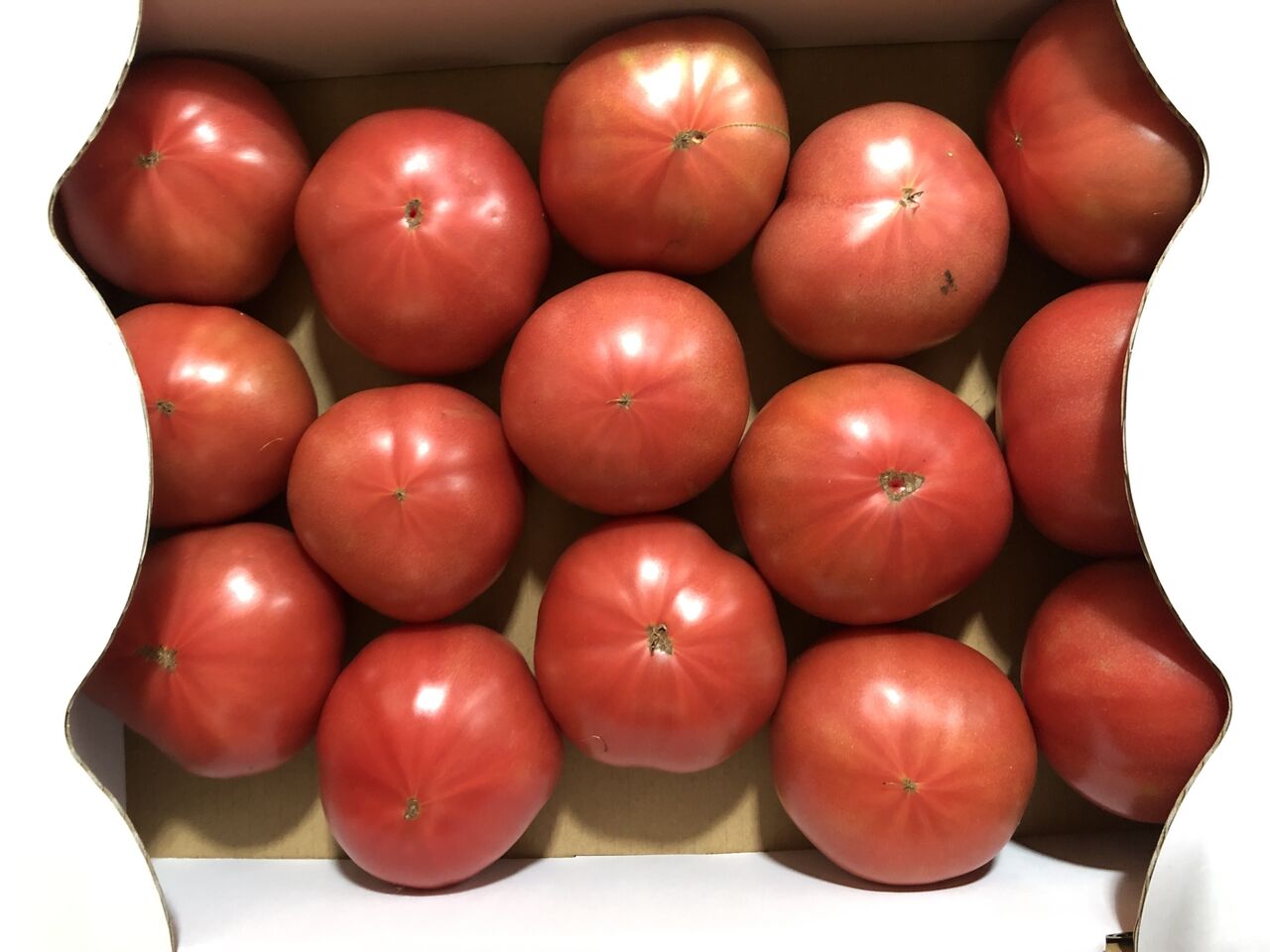 三田のトマト農園でトマトを買ってみた 宝塚暮らしをもっと楽しもう 情報誌comipa