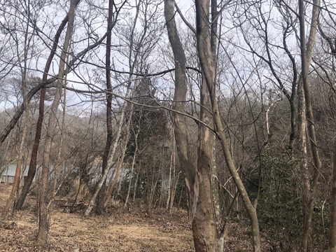 西谷の森公園_0209