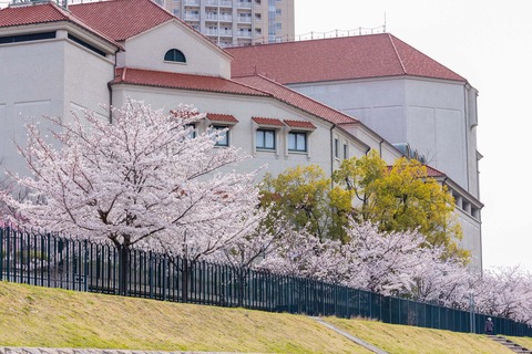武庫川河川敷 大劇場