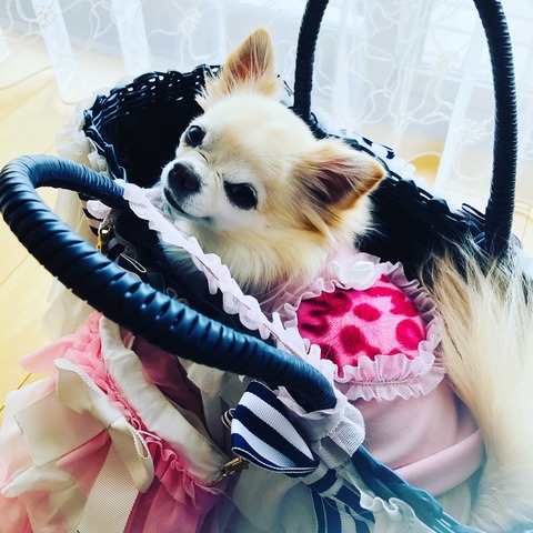 66937E95-4A2A-474A-96E1-B80B390F715A