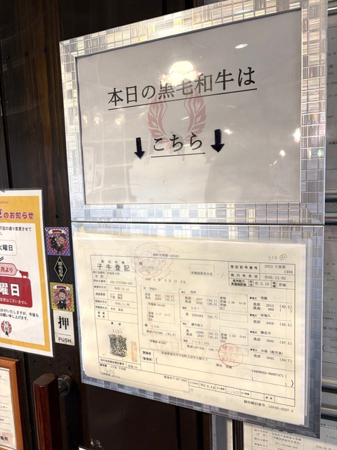 gyuto19