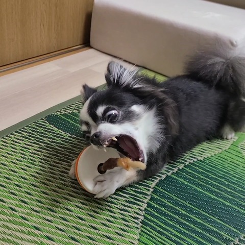 VideoCapture_20230723-093840