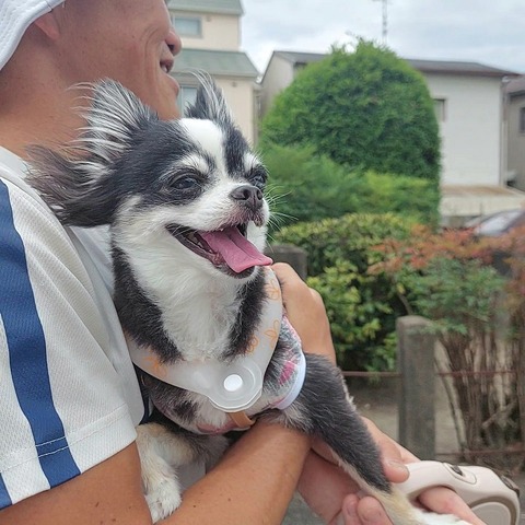 VideoCapture_20230814-221831