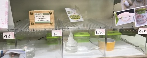 こどもたち