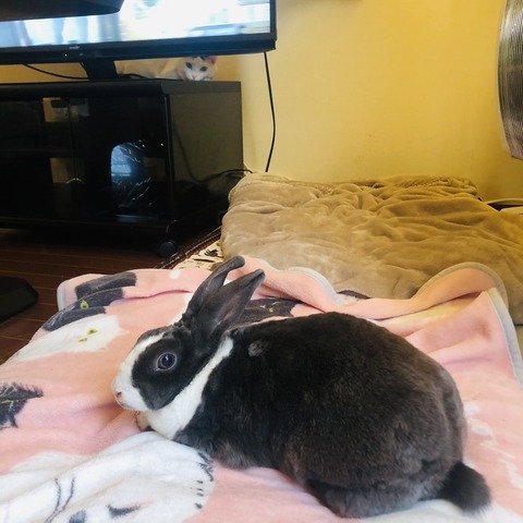 DF8E90A9-9256-4333-8940-B76A33BB9407