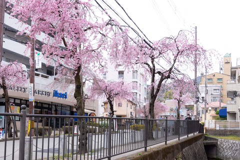 いかりスーパー