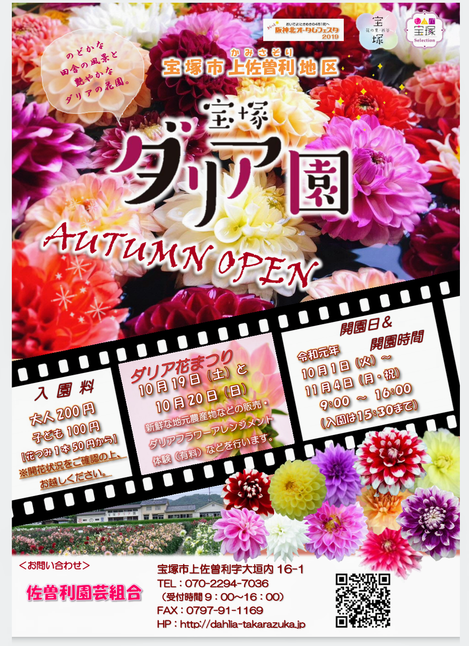 秋のおすすめお出かけスポット 宝塚ダリア園秋季開園中 １１月４日まで 宝塚暮らしをもっと楽しもう 情報誌comipa