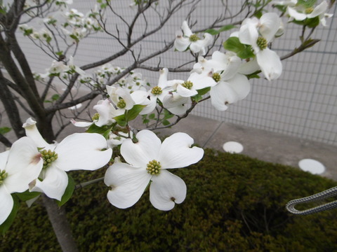 P1040084
