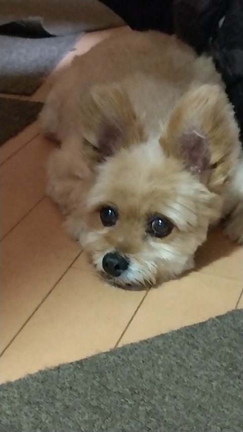 HORIZON_0001_BURST20230624084209858_COVER