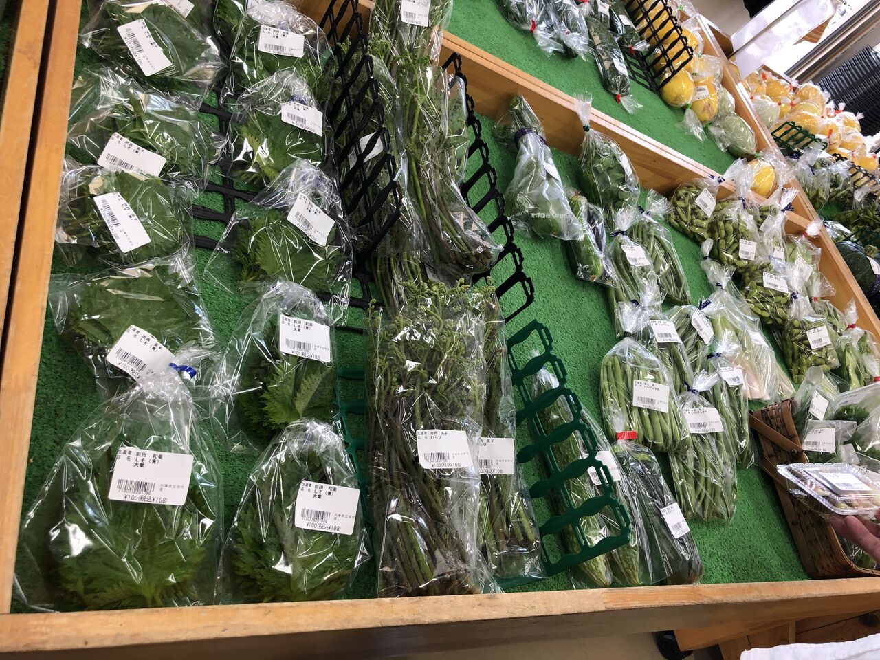 新鮮お野菜手に入れたい 西谷夢市場へ行ってみた 宝塚コミパ通信 新鮮お野菜手に入れたい 西谷夢市場へ行ってみた 宝塚コミパ通信