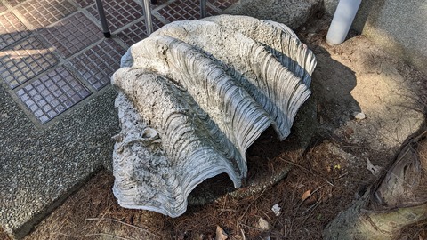 PXL_20221107_025838750