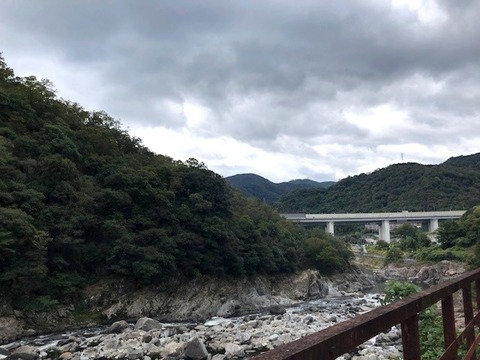 takeda3