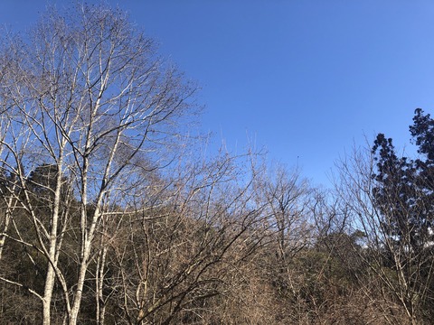 西谷の森公園_0216