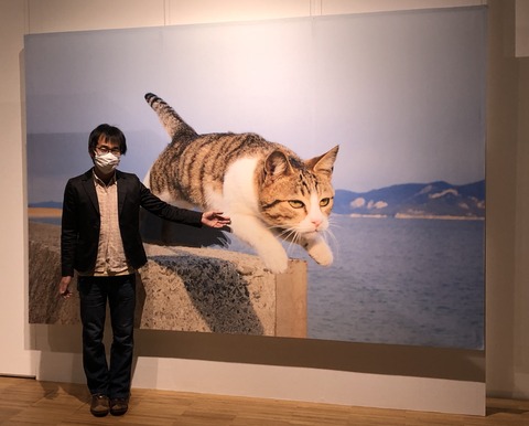 飛び猫展2022_0263