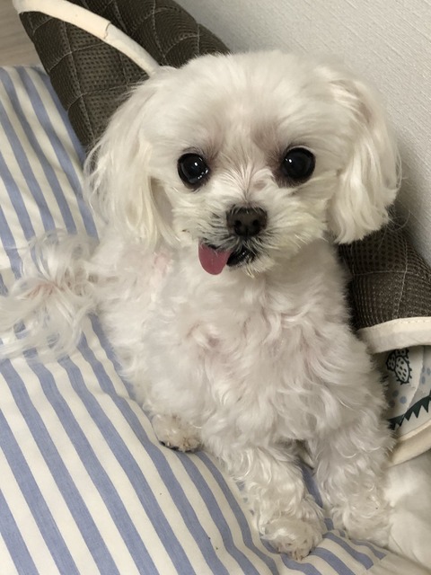 F98CEB46-0D96-4E1C-B74C-8C66A368D14B