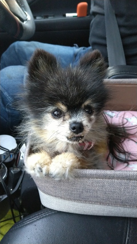 HORIZON_0001_BURST20230604102009358_COVER