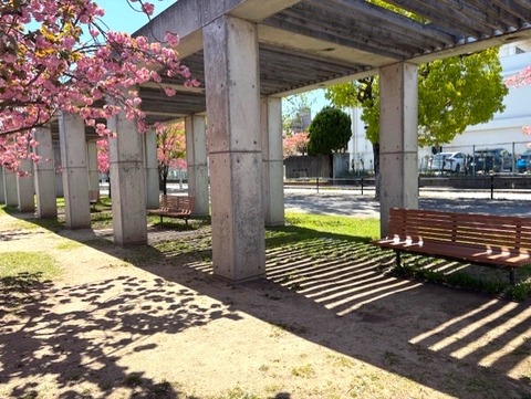 suehiro8