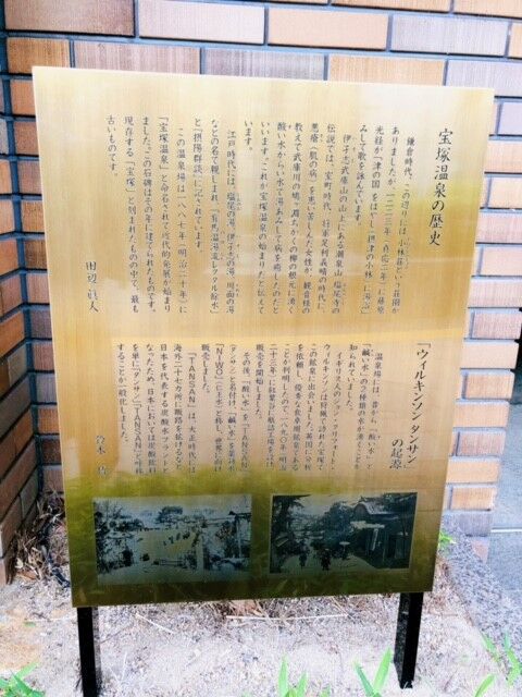 ウィル1