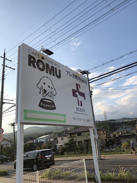 6D123BAD-C34E-4A7A-B30A-4F641655981E