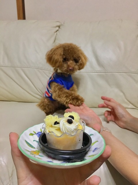 EB34BEA8-B365-4315-9D5E-4009EC0E82FD