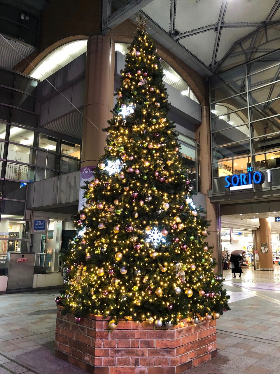 クリスマスイブ 各スポットのクリスマスツリーお届けします 宝塚コミパ通信 クリスマスイブ 各スポットのクリスマスツリーお届けします 宝塚コミパ通信