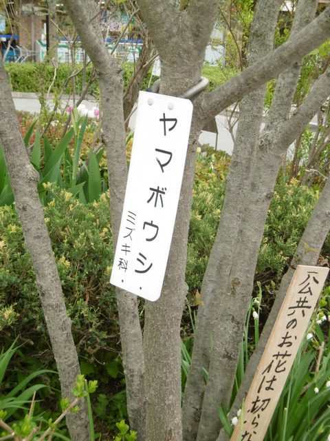 P1040068