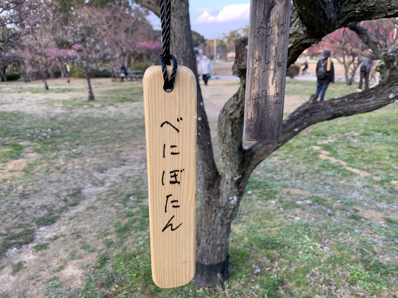 梅の花 宝塚コミパ通信 梅の花 宝塚コミパ通信