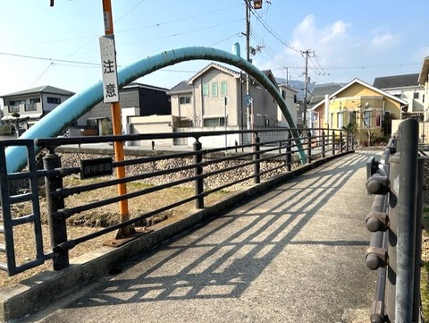 hashi31