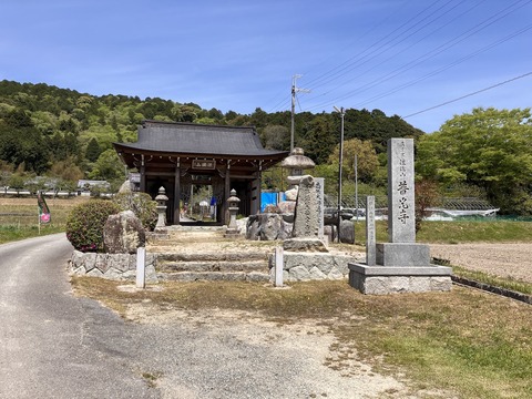 長谷牡丹園_4118