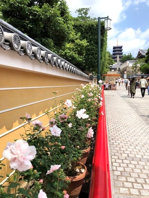 nakayamaderasanndou1