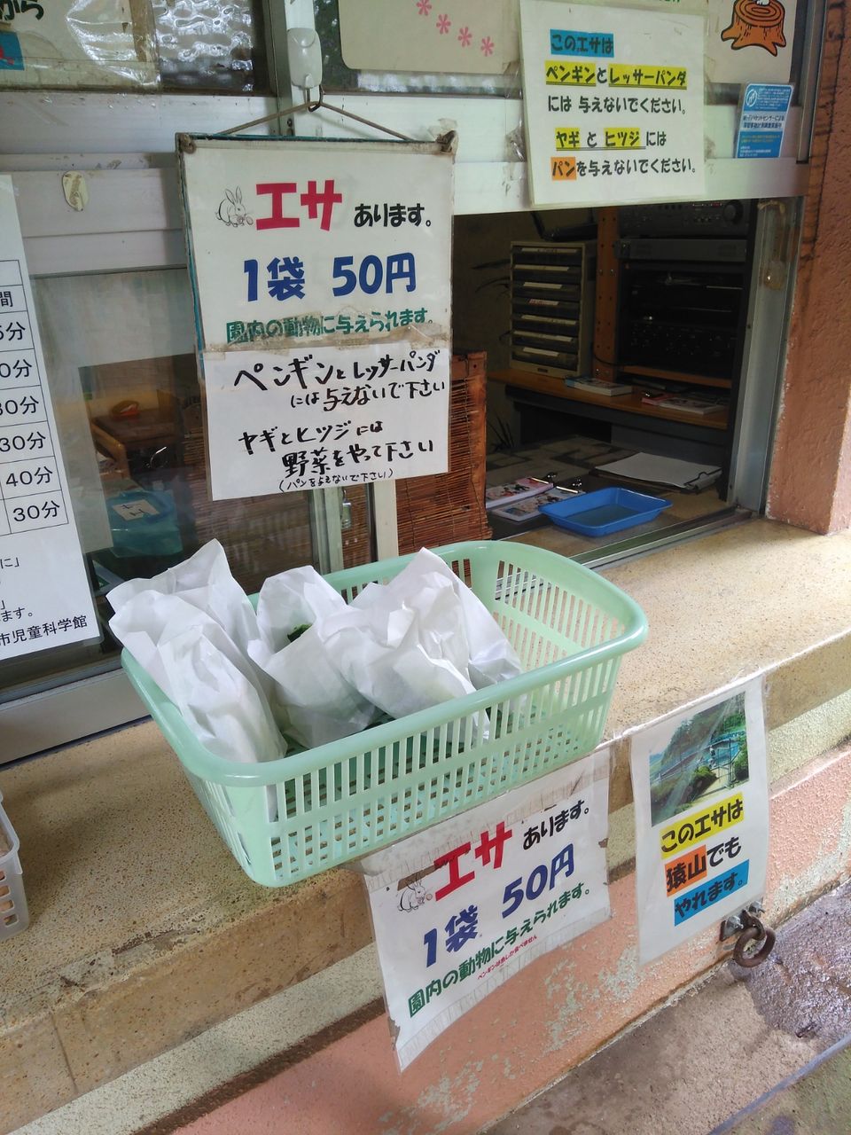 志村どうぶつ園に出てた モモタ に会える 福知山動物園に行ってみた 宝塚暮らしをもっと楽しもう 情報誌comipa 志村どうぶつ園に出てた モモタ に会える 福知山動物園に行ってみた 宝塚暮らしをもっと楽しもう 情報誌comipa